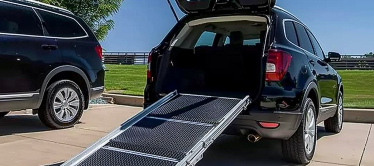 Dog ramp for honda crv best sale